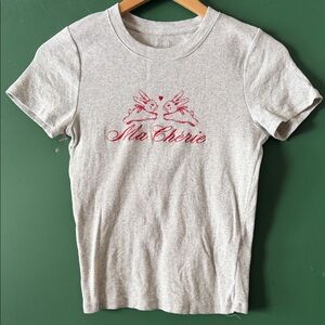 Hollister Gray Short Sleeve Tee with Red Graphic